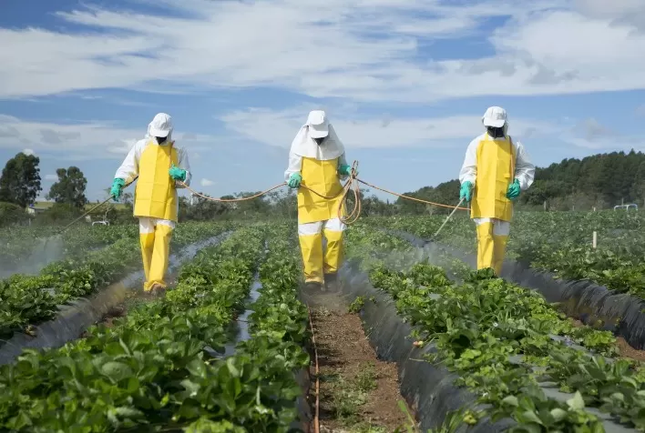 Desafios Fitossanitários na Agricultura: Orientações para Produtores de Hortaliças e Frutas