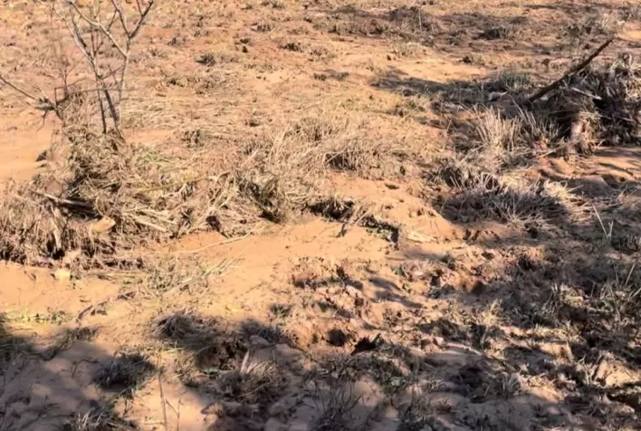 Solos de lavouras precisarão de recuperação após enchentes no Rio Grande do Sul