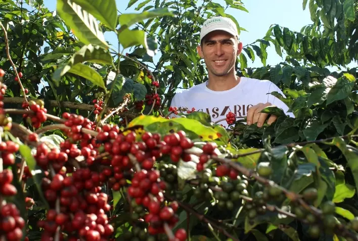 Instituto Promove Regiões de Indicação Geográfica do Café