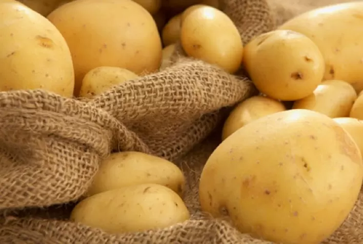 Preço da Batata Dispara e Registra Alta de Mais de 40% no Atacado Paulista