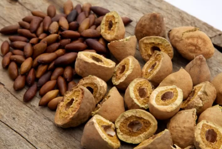 Castanha de Baru: Sabor do Cerrado Brilha no Oriente Médio