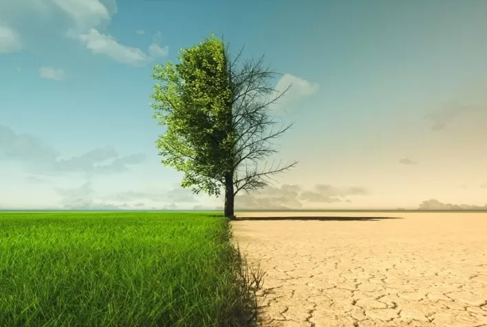 Mudanças Climáticas Desafiam o Agronegócio e Destacam a Importância do Seguro Agrícola