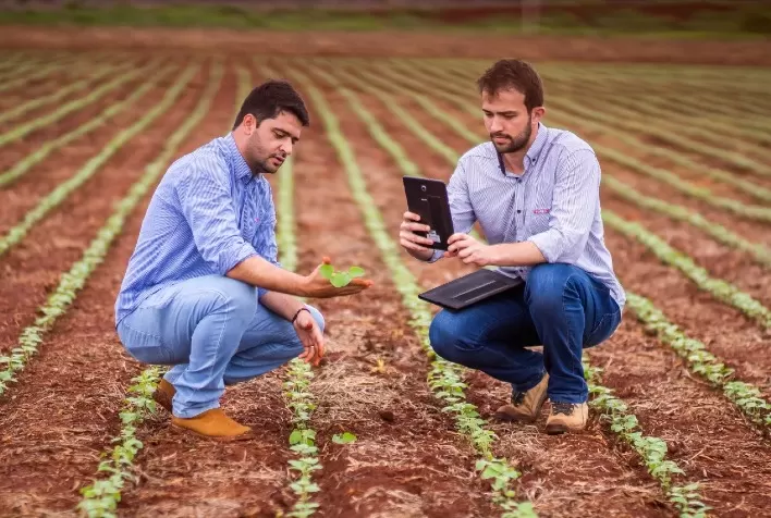 Inovação no Agronegócio: O Avanço do Barter Digital