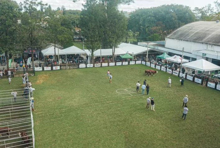 Nacional Hereford e Braford: Evento Repleto de Atrações