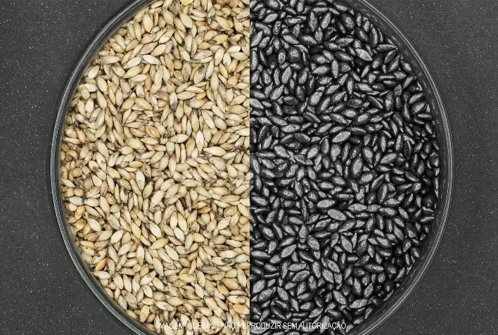 Tratamento de Sementes Forrageiras: Chave para Aumentar a Produtividade e Lucratividade da Pastagem