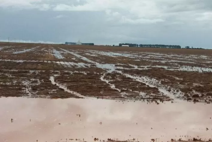Inundações Reduzem Produção de Soja no Rio Grande do Sul para 20 Milhões de Toneladas