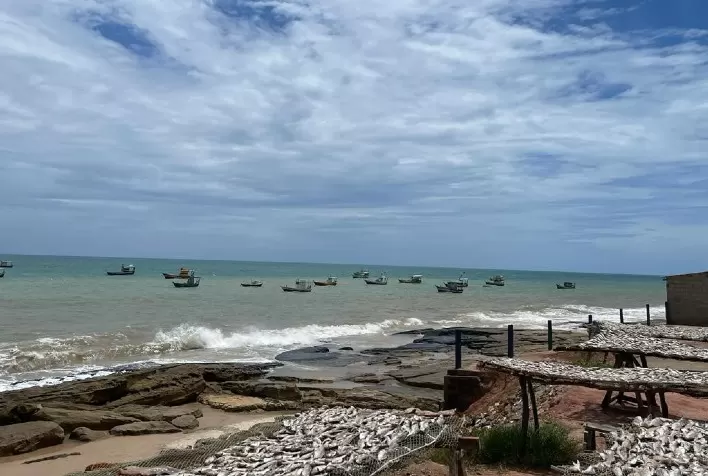 Produção mundial de pesca e aquicultura atinge novo recorde, afirma FAO