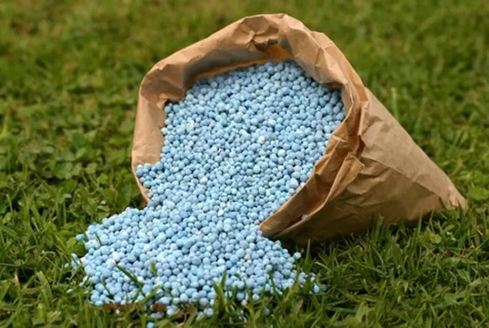 Fertilizantes se Tornam Mais Acessíveis: Índice de Poder de Compra Melhora pelo Segundo Mês Consecutivo