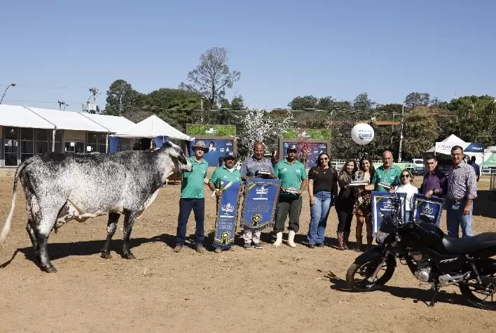 Vacas Girolando estabelecem novos recordes no Torneio Leiteiro da Megaleite 2024