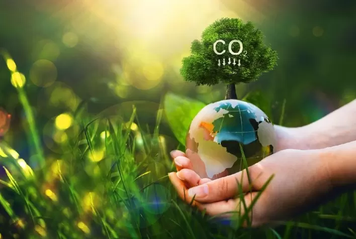 Brasil Pode Liderar Transição Verde com Bioeconomia Estruturada