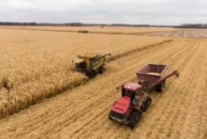 Tecnologia e Sustentabilidade no Agronegócio: Tendências para 2024