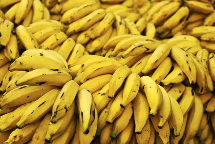 Queda nos Preços Atacadistas de Banana, Laranja e Mamão Ultrapassa 10%, Aponta Boletim da Conab