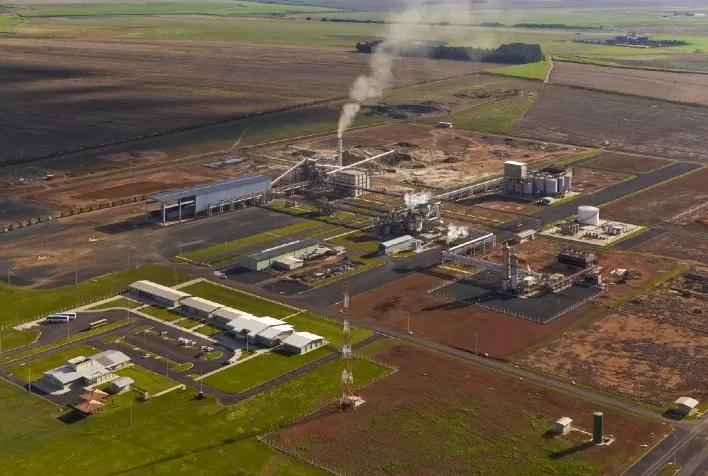 Copersucar Celebra Safra 23/24 com Recordes e Expansão no Mercado de Energia Renovável