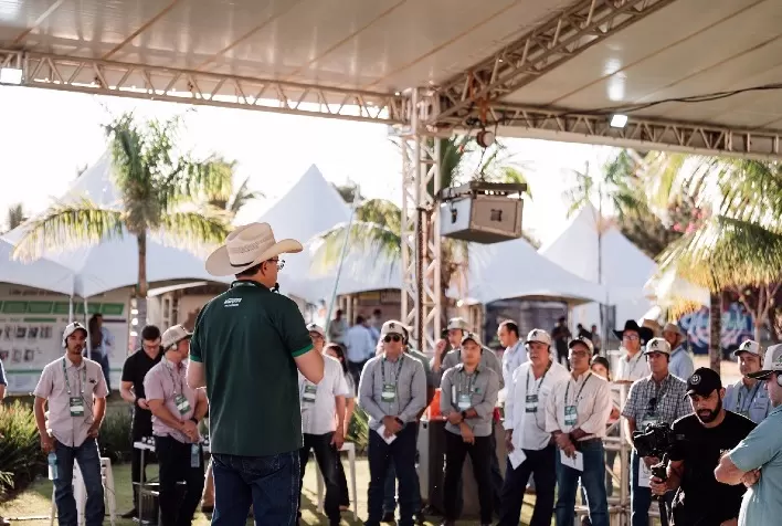 Fazenda em MS Combina Alta Produtividade de Carne com Sustentabilidade