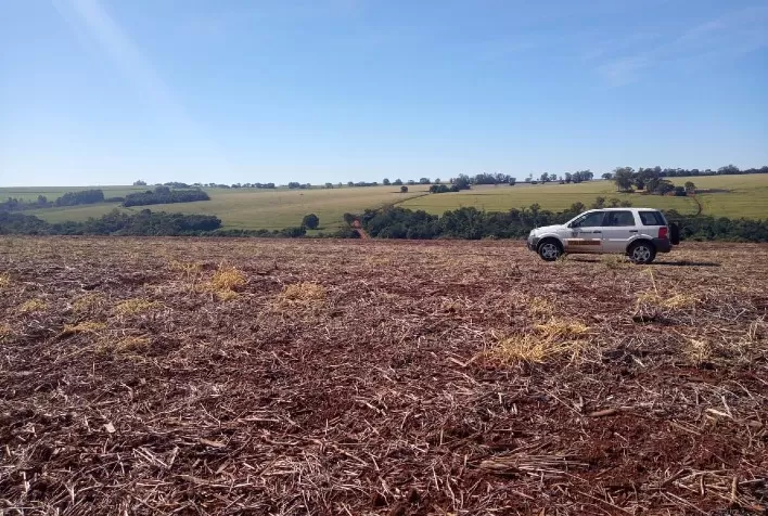 Paraná inicia Vazio Sanitário da Soja com Novas Regras Regionais