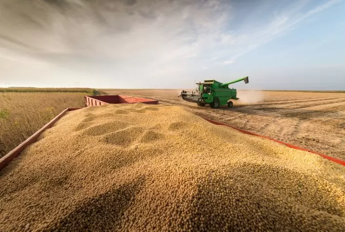 Mercado da Soja na CBOT Antecipa Relatórios do USDA com Leve Alta