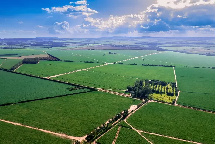 Nuseed Destaca Variedades Vertix para Produção de Etanol no 17º Congresso Nacional de Bioenergia