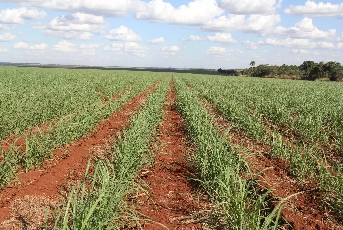 Tecnologia de Irrigação: Maximizando Nutrientes na Produção de Cana-de-Açúcar