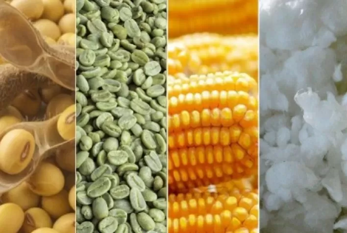 Relatório trimestral do Rabobank: Perspectivas para commodities no segundo trimestre de 2024