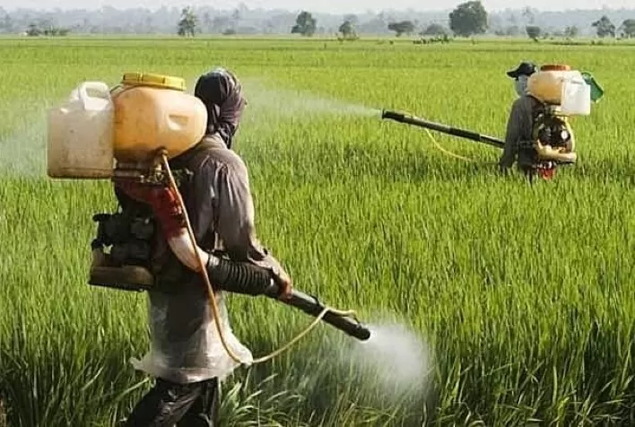 "Projeto de Lei Desperta Controvérsia ao Incluir Bioinsumos como Agrotóxicos"