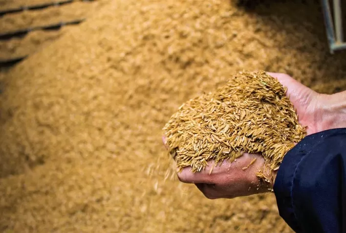 Nova Engevix Investirá R$ 70 Milhões em Usina de Casca de Arroz no RS