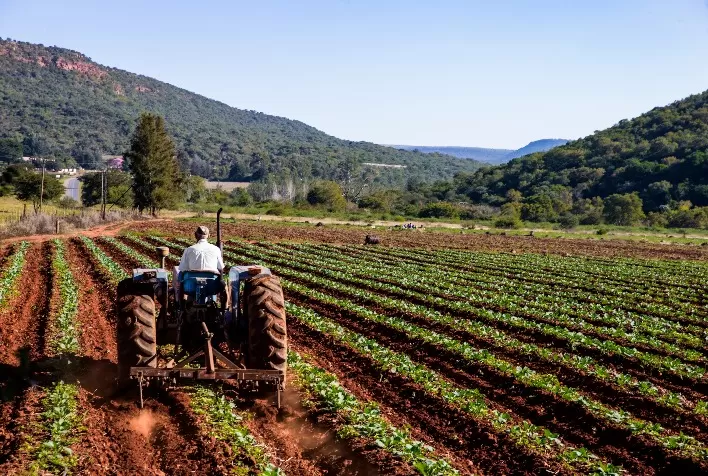 Agro Amazônia Revoluciona Gestão com Nuvem e Business Intelligence