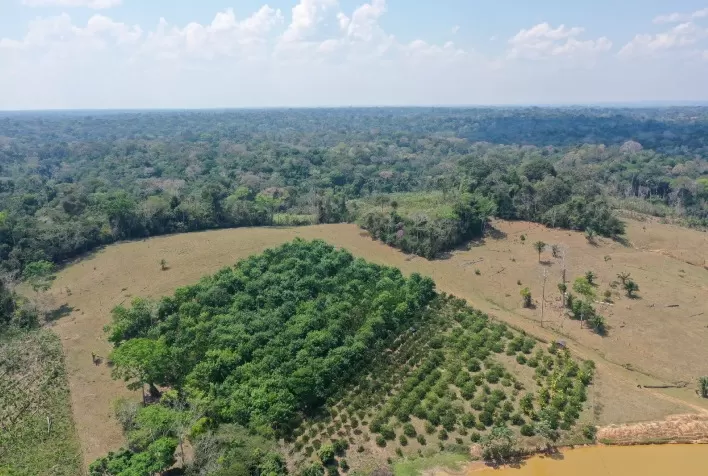 Embrapa Lança Rede Restaurabio para Fortalecer Restauração de Ecossistemas