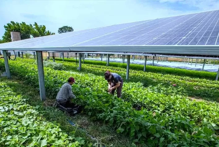Plano Safra 2024-2025 Impulsiona Energia Solar e Investimentos Sustentáveis no Agronegócio