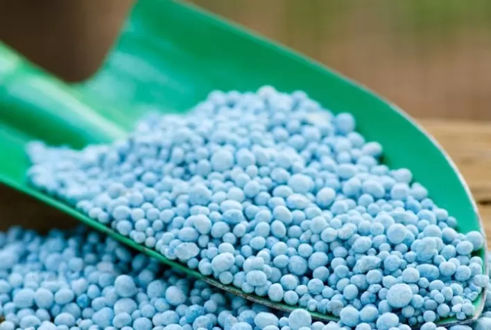 Compras de Fertilizantes Mantêm Ritmo Lento, Afirma Consultoria