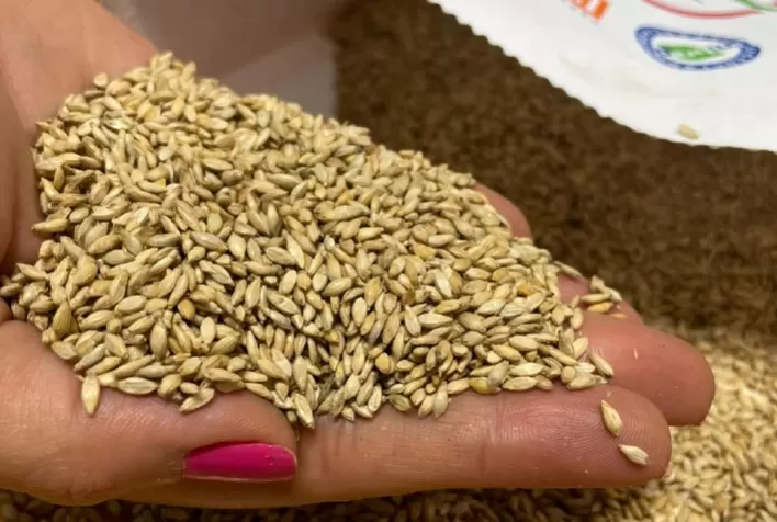 Produtores de Grãos Exigem Mudanças no Mercado de Forrageiras