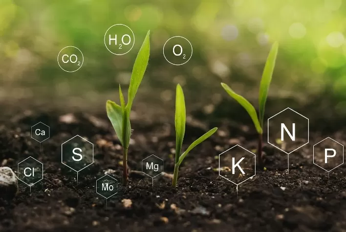 Workshop em Rio Verde Promove Fertilizantes Organominerais: A Combinação de Produtividade e Sustentabilidade