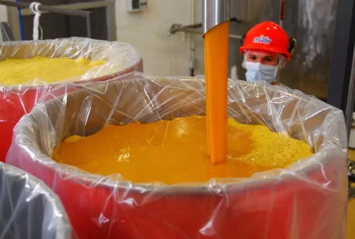 Setor de Suco de Laranja Registra Faturamento Recorde, Mas Enfrenta Queda no Consumo