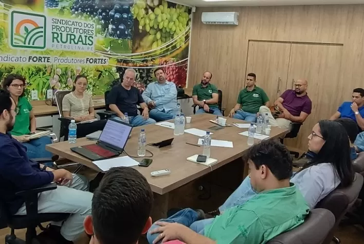 CNA Levanta Custos de Produção de Grãos, Frutas, Leite e Cana
