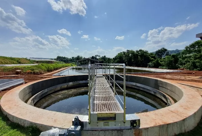 Cargill e Coopavel: Parceria que Revoluciona a Nutrição Animal de Leitões