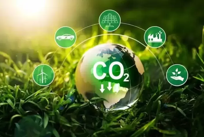 Brasil Pode Liderar Mercado Global de Créditos de Carbono de US$ 50 Bilhões