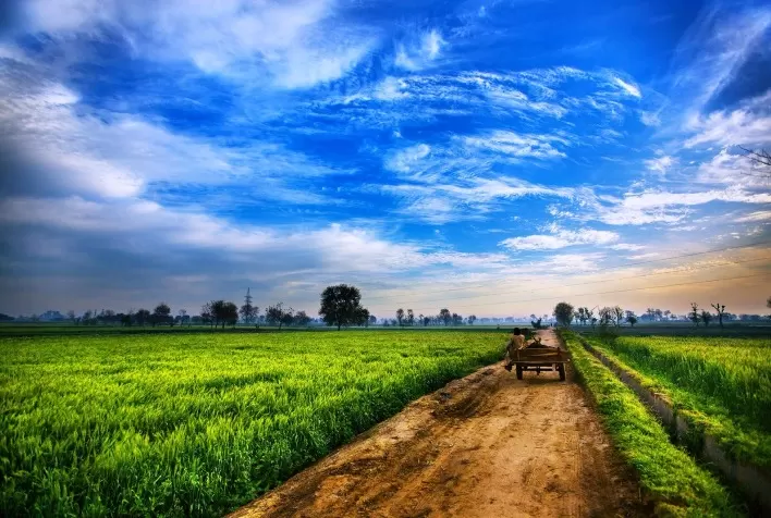 Inadimplência no Campo: Apenas 7% dos Proprietários Rurais Foram Afetados no Primeiro Trimestre de 2024