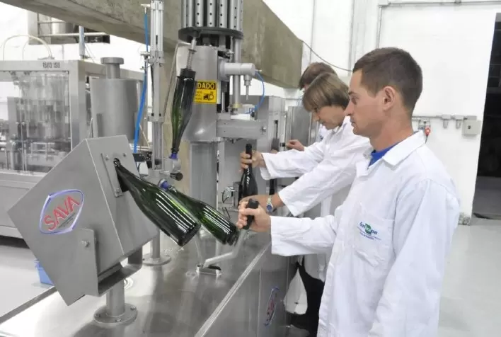 Vinícola Brasileira Inicia Pesquisa Pioneira com a Embrapa para Criar Vinhos Exclusivos