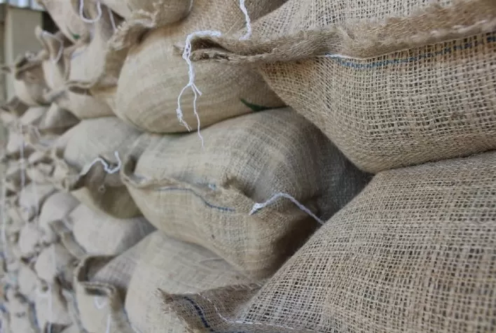 Exportações de Café do Vietnã Sofrem Queda de 13,8% no Primeiro Semestre de 2024