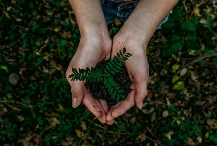 Grano Alimentos Lança Seu Primeiro Relatório de Sustentabilidade Após Captação de R$ 70 Milhões em CRA