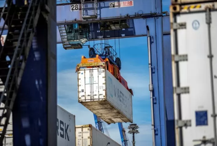 Exportações de Frutas Brasileiras Registram Crescimento no Primeiro Semestre de 2024