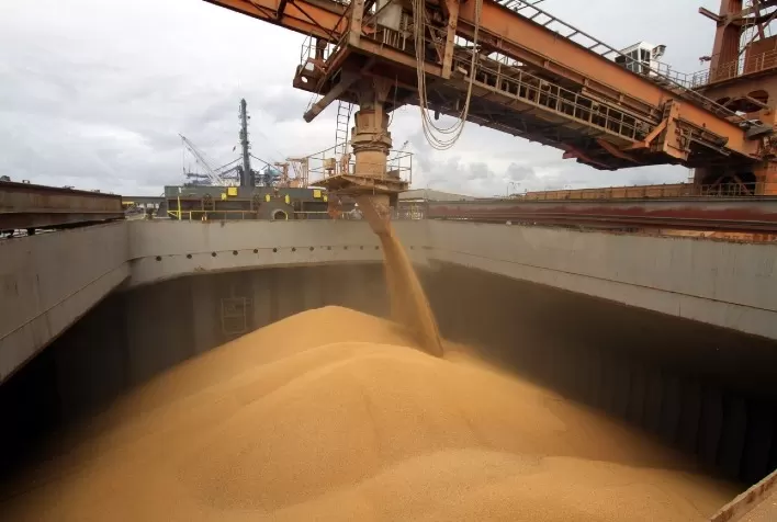 Exportações de Soja no Primeiro Semestre Superam os Últimos Dois Anos