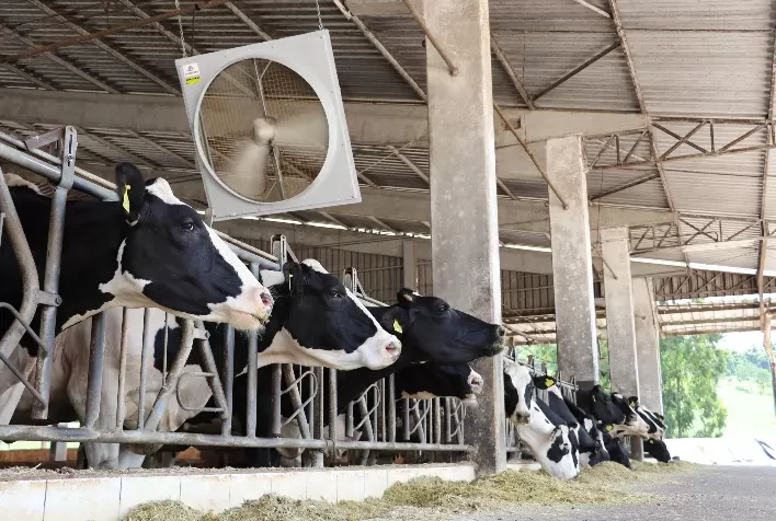 Corti Avioeste Inaugura Presença na Pecuária Leiteira na Agroleite