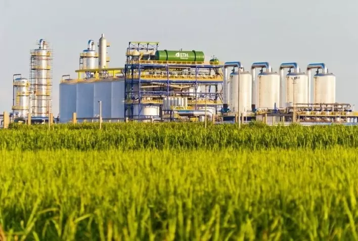 Aumento na Produção de Etanol nos EUA: Alta de 1,3% na Semana