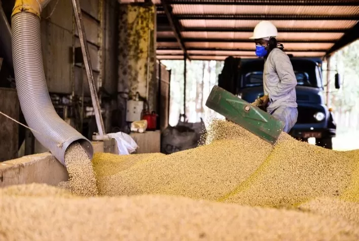 Cadeia da Soja Registra Redução de 4,65% em Empregos