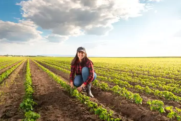 Agropecuária Lidera Criação de Vagas com Carteira Assinada em Mato Grosso