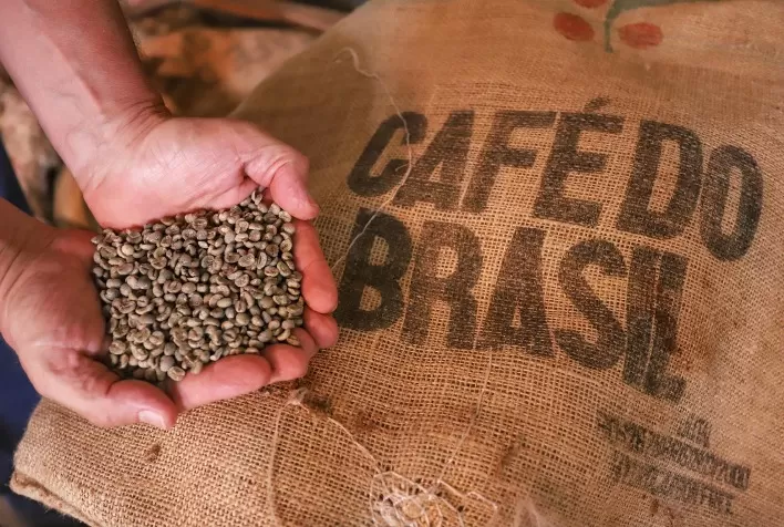 Exportações de Café do Paraná Registram Melhor Desempenho no 1º Semestre dos Últimos 12 Anos
