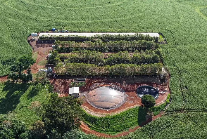 Biogás da Suinocultura no Paraná: Uma Alternativa Sustentável e Lucrativa