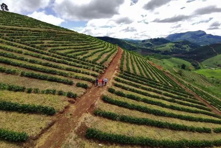 Tecnologia Avançada Revoluciona a Cafeicultura nas Matas de Minas