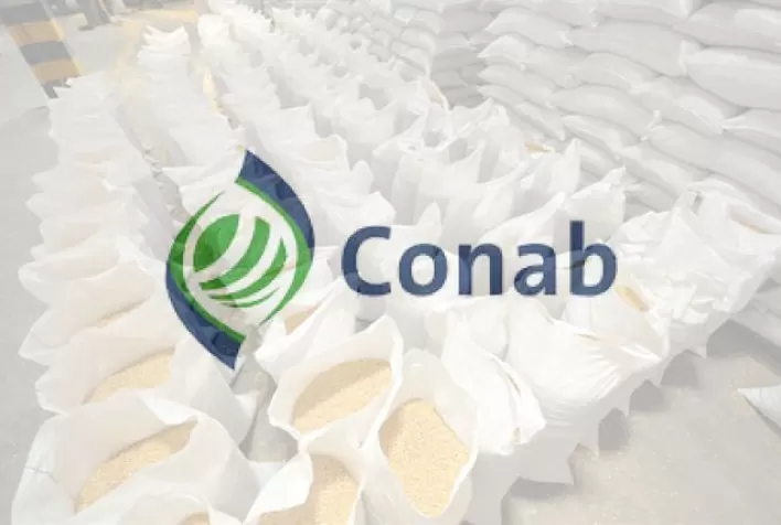 CONAB: estoque final de milho de 2024 pode corresponder a apenas um terço do registrado em 2020