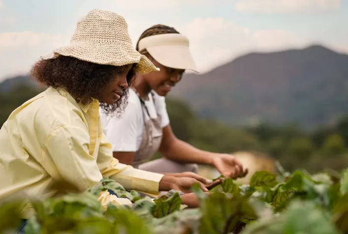 Crédito para Agricultura Familiar Aumenta no Plano Safra 24/25